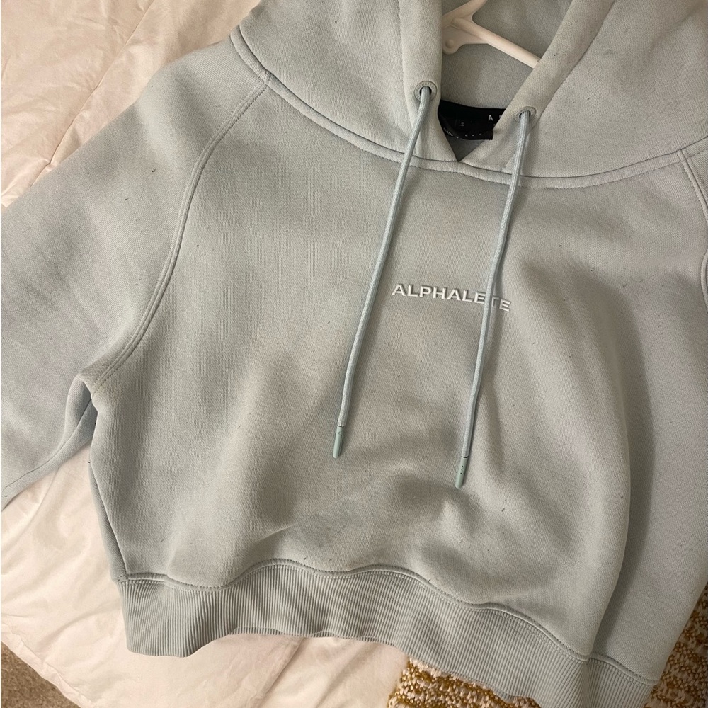 Alphalete blue cropped hoodie
